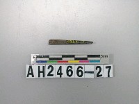 藏品(石針殘件)的圖片